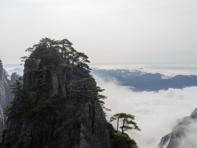 黄山有哪些著名景点？哪些景点最值得游览呢？